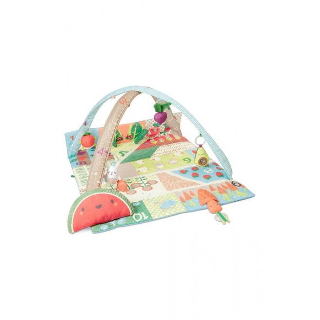 Skip Hop Farmstand Grow & Play Activity Gym