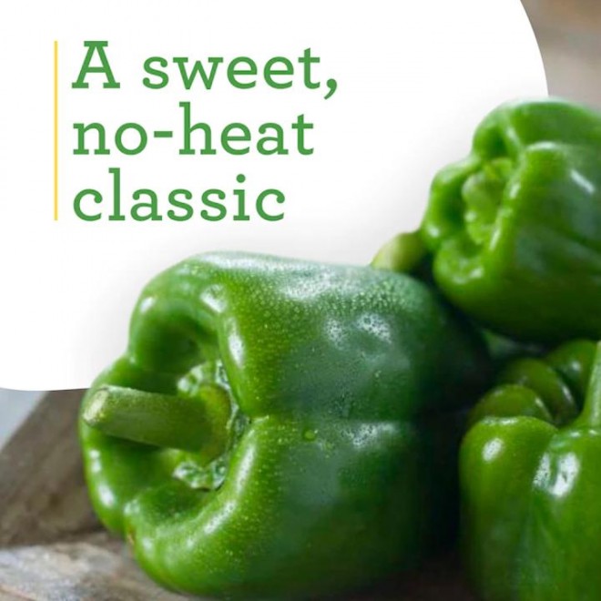 Bonnie Plants Sweet Green Bell Pepper 19.3 oz. 2-Pack