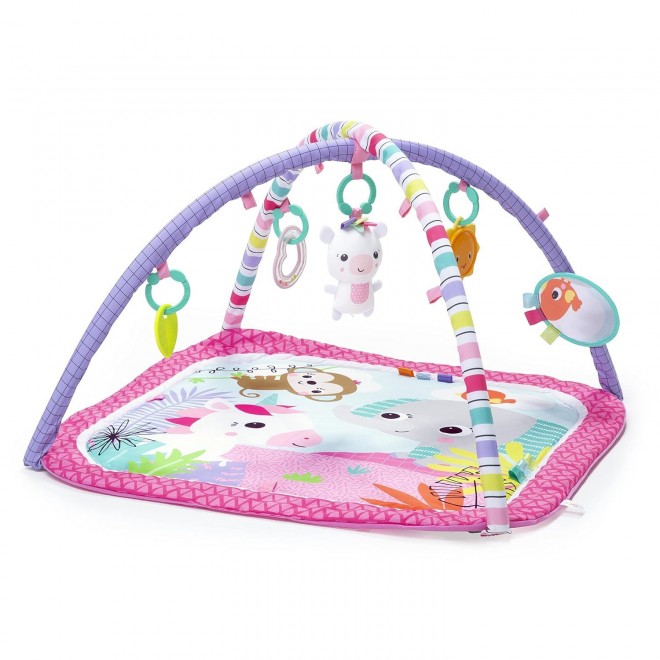 Bright Starts Unicorn Crew Baby Activity Gym & Play Mat with Taggies, Newborn and up