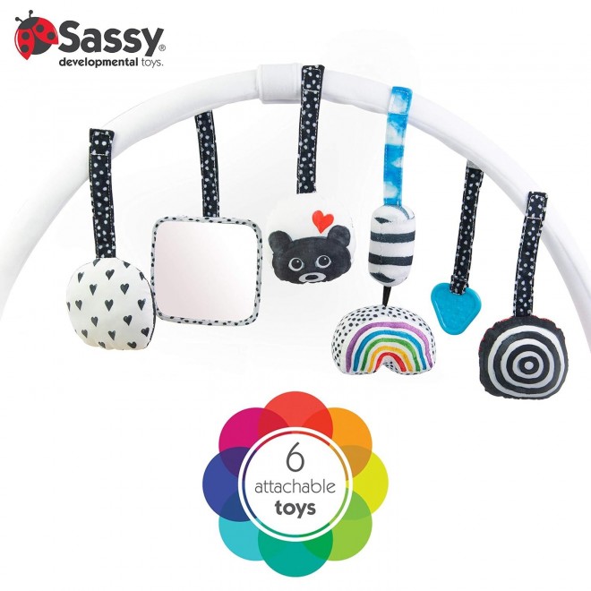 Sassy Stages STEM Developmental Play Gym,  Ultra Plush & Machine Washable Playmat