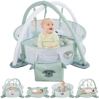 Beright Baby Gym,Perfect Newborn Toys