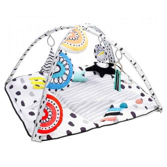 LADIDA Activity Gym for Newborns to Toddler