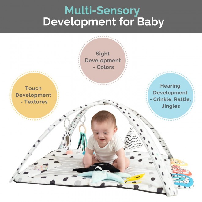 LADIDA Activity Gym for Newborns to Toddler