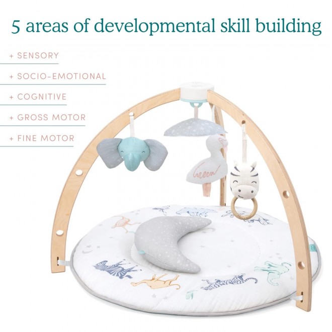 Aden + Anais Play And Discover Baby Activity Gym– Plush Tummy Time Pillow