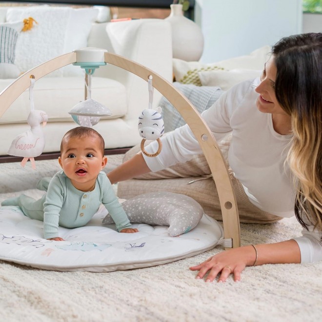 Aden + Anais Play And Discover Baby Activity Gym– Plush Tummy Time Pillow