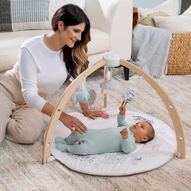 Aden + Anais Play And Discover Baby Activity Gym– Plush Tummy Time Pillow