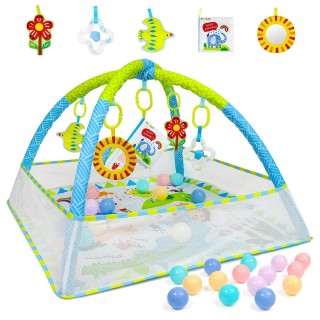 Dr.Rapeti Baby Play Gym Mat with Ball Pit Activity Gym Center Tummy Time Mat Thickened 