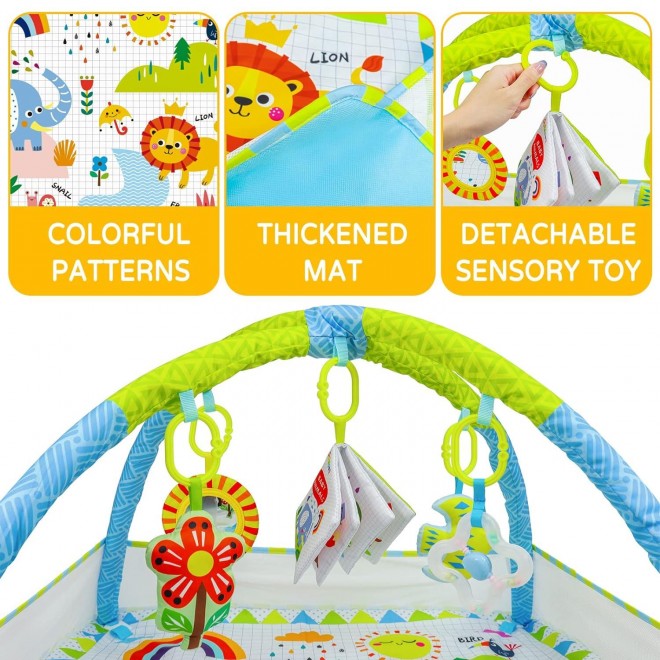 Dr.Rapeti Baby Play Gym Mat with Ball Pit Activity Gym Center Tummy Time Mat Thickened 