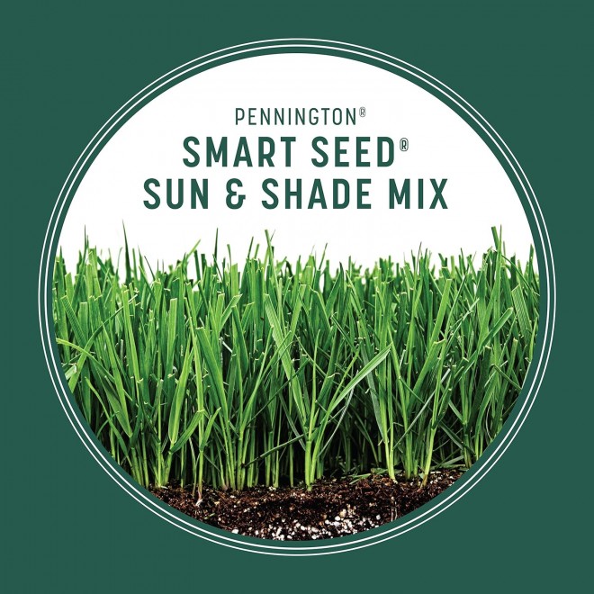 Pennington Smart Seed Sun and Shade Grass Mix 20 lb