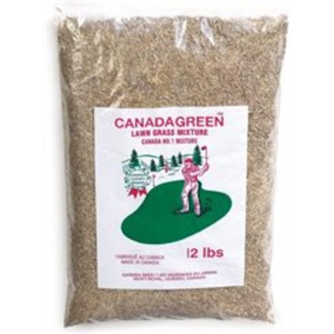 Canada Green Grass Lawn Seed - Grows Healthy Rich Green Grass Lawn Seed Plants Yard Garden 12 Pound Bag