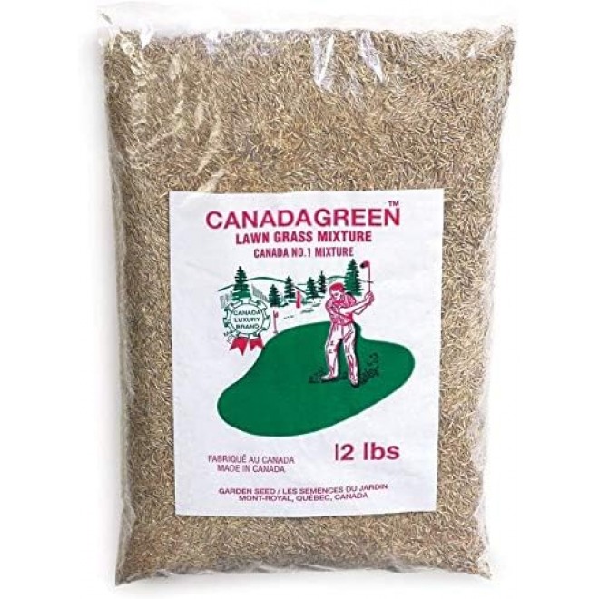 Canada Green Grass Lawn Seed - Grows Healthy Rich Green Grass Lawn Seed Plants Yard Garden 12 Pound Bag