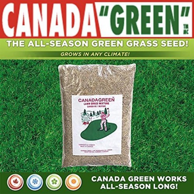 Canada Green Grass Lawn Seed - Grows Healthy Rich Green Grass Lawn Seed Plants Yard Garden 12 Pound Bag