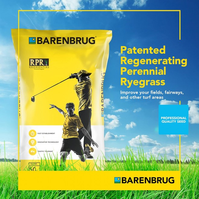 Barenbrug Turf Star Regenerating Perennial Ryegrass Lawn Seed with Yellow Jacket Seed Coating, Fast-Acting Durable Grass Seed Mix for Lawns, 25-lb. Bag