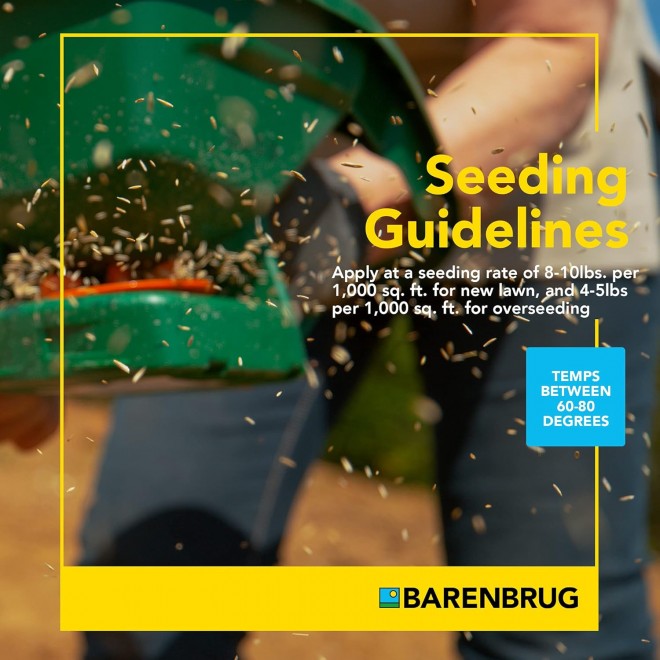 Barenbrug Turf Star Regenerating Perennial Ryegrass Lawn Seed with Yellow Jacket Seed Coating, Fast-Acting Durable Grass Seed Mix for Lawns, 25-lb. Bag