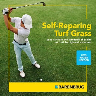 Barenbrug Turf Star Regenerating Perennial Ryegrass Lawn Seed with Yellow Jacket Seed Coating, Fast-Acting Durable Grass Seed Mix for Lawns, 25-lb. Bag