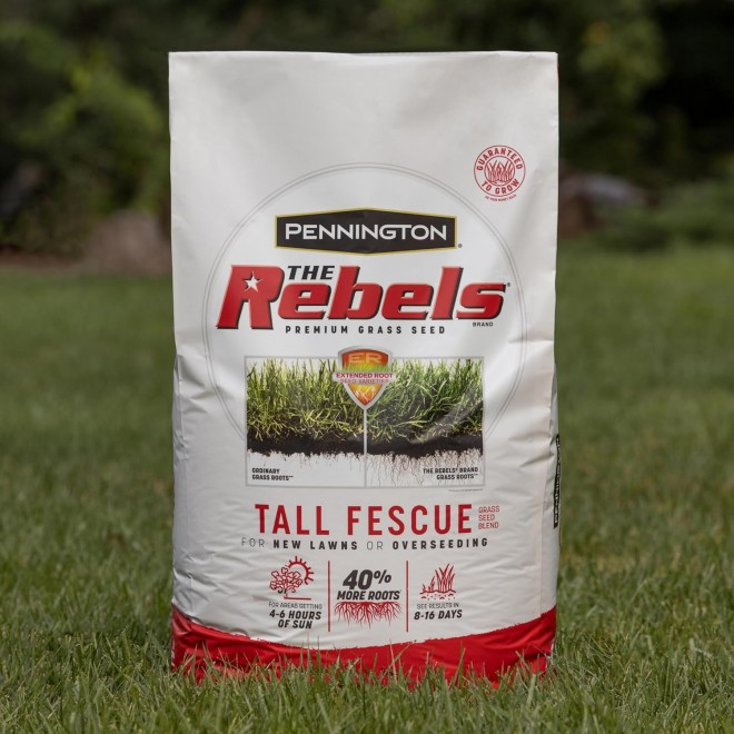 Pennington The Rebels Tall Fescue Grass Seed Mix 40 lb