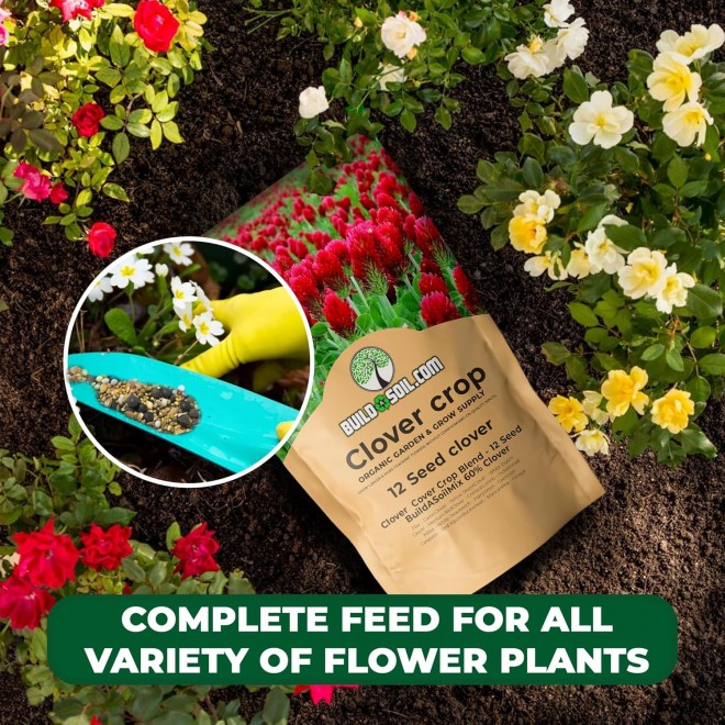 BuildASoil No-Till Clover Seed Cover Crop Blend 12 Species Cover Crop Seed Mix Premium Clover Seeds for Lawn - Plants Friendly Cover Crop for Garden - 60% Clover (10 LB Bag)