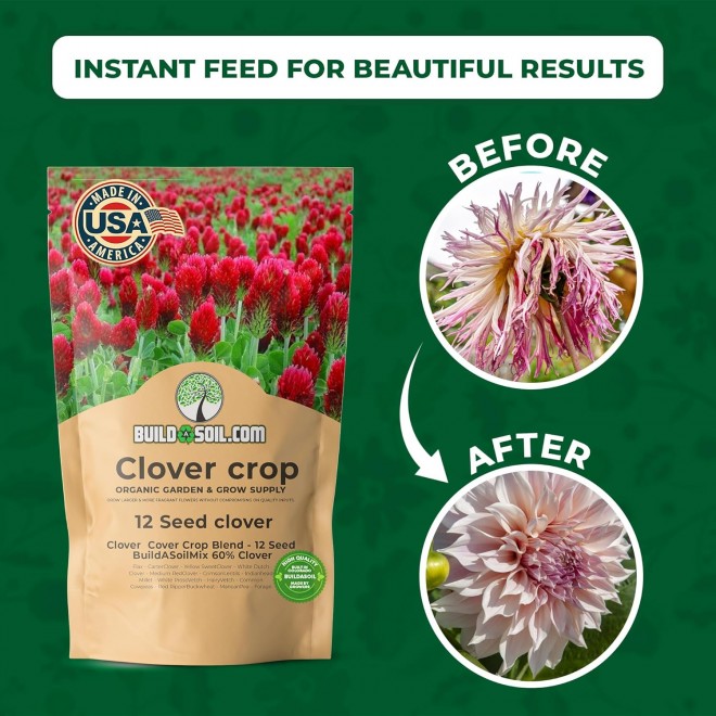 BuildASoil No-Till Clover Seed Cover Crop Blend 12 Species Cover Crop Seed Mix Premium Clover Seeds for Lawn - Plants Friendly Cover Crop for Garden - 60% Clover (10 LB Bag)