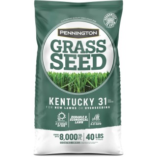 Pennington Kentucky 31 Tall Fescue Penkoted Grass Seed 40 lbs