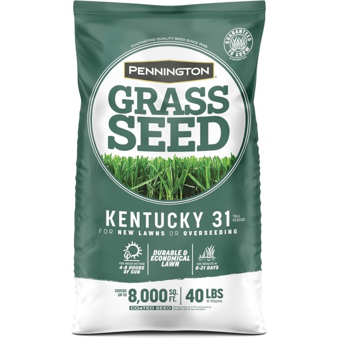 Pennington Kentucky 31 Tall Fescue Penkoted Grass Seed 40 lbs