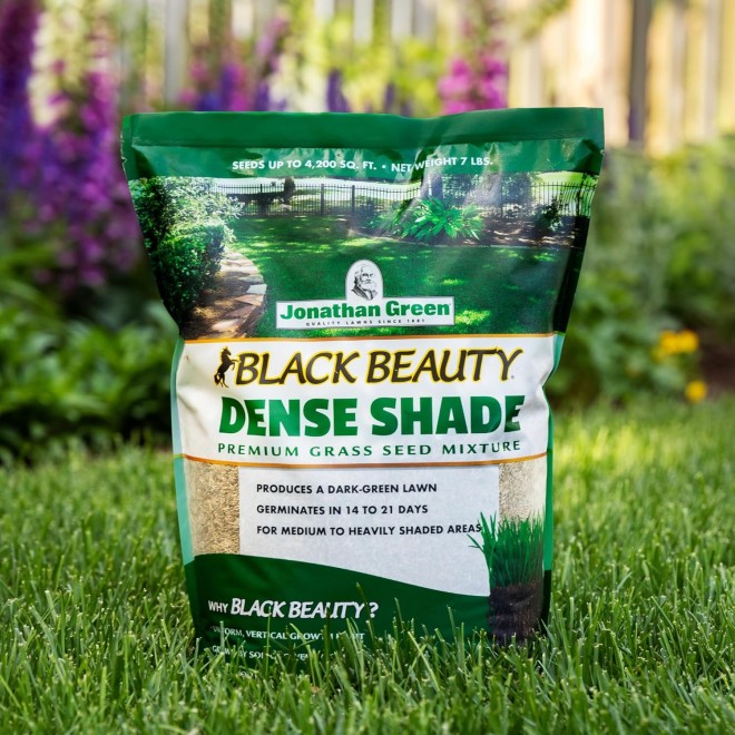 Jonathan Green (10610) Black Beauty Dense Shade Grass Seed - Cool Season Lawn Seed (25 lb)