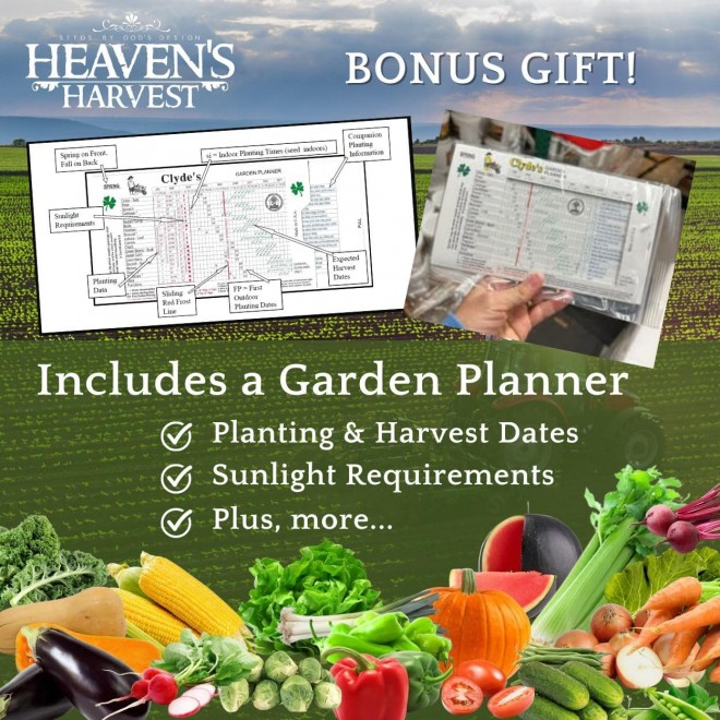 Heaven’s Harvest 10 Year Garden” Survival Seed Bank Kit | Over 25k Non-GMO Heirloom Vegetable Survival Seeds + 2 Free Bonus Items: Clyde’s Garden Planner + Seed Vault Storage Drum for 10 Year Storage