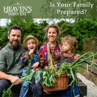 Heaven’s Harvest 10 Year Garden” Survival Seed Bank Kit | Over 25k Non-GMO Heirloom Vegetable Survival Seeds + 2 Free Bonus Items: Clyde’s Garden Planner + Seed Vault Storage Drum for 10 Year Storage