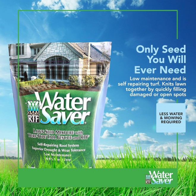 Grass Mixture with Turf-Type Tall Fescue Used to Seed New Lawn and Patch Up Jobs-Grows in Sun or Shade, 25 lbs - Covers 1/10 Acre