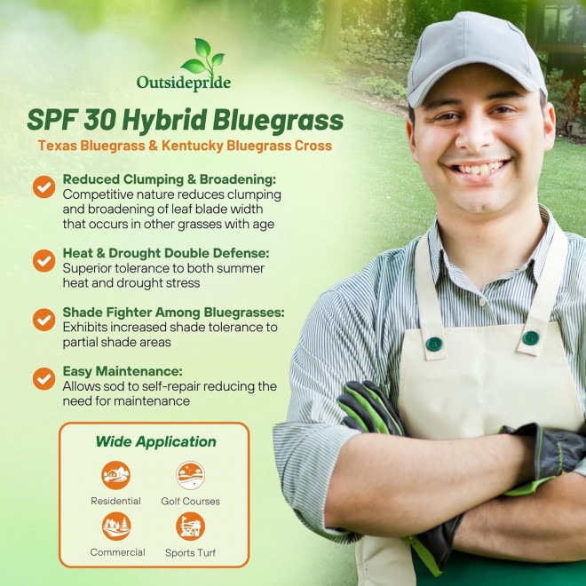 Outsidepride SPF-30 Hybrid Bluegrass Seeds - 10 lbs. Heat & Drought Tolerant, Texas Bluegrass & Kentucky Bluegrass Seed Mix for Challenging Climates, OptiGrowth Coated for Better Establishment