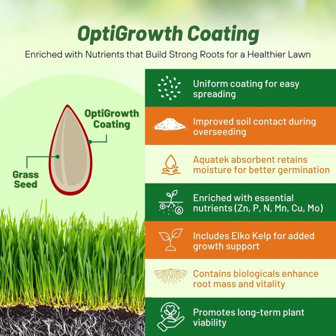 Outsidepride SPF-30 Hybrid Bluegrass Seeds - 10 lbs. Heat & Drought Tolerant, Texas Bluegrass & Kentucky Bluegrass Seed Mix for Challenging Climates, OptiGrowth Coated for Better Establishment