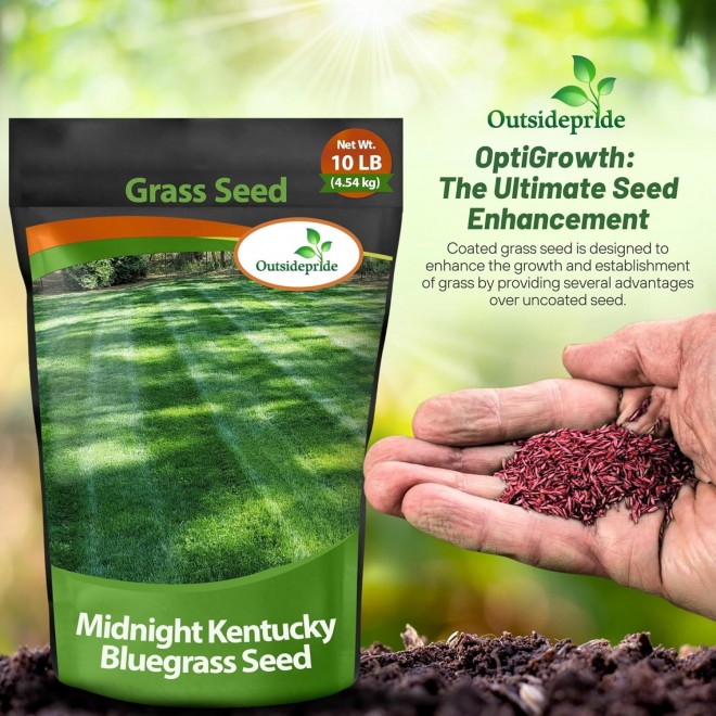 Outsidepride SPF-30 Hybrid Bluegrass Seeds - 10 lbs. Heat & Drought Tolerant, Texas Bluegrass & Kentucky Bluegrass Seed Mix for Challenging Climates, OptiGrowth Coated for Better Establishment