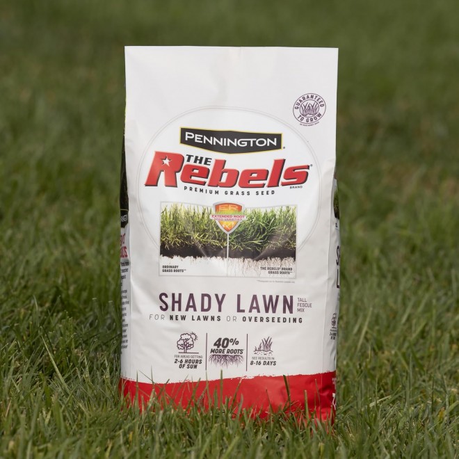 Pennington The Rebels Tall Fescue Shady Grass Seed Mix 20 lb