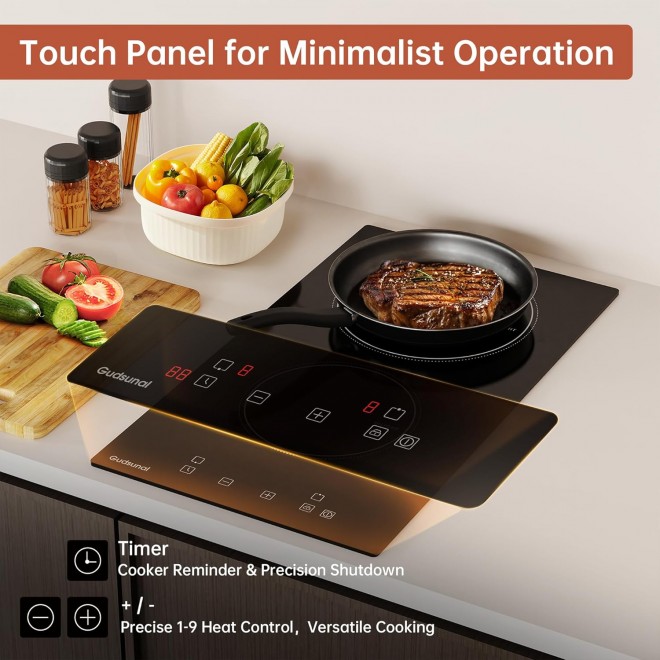 2 Burner Electric Cooktop, 2000 Watt, 110V with Plug,12 Inch Touch Control Electric Stove Top for Countertop & Built-in Use, Timer, Child Lock, Hot Surface Indicator Included