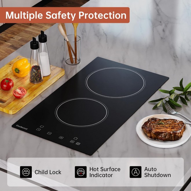 2 Burner Electric Cooktop, 2000 Watt, 110V with Plug,12 Inch Touch Control Electric Stove Top for Countertop & Built-in Use, Timer, Child Lock, Hot Surface Indicator Included